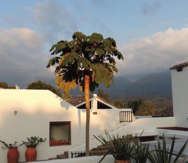 Arcabuco House | PASSADHI Ayurveda & Yoga Retreat