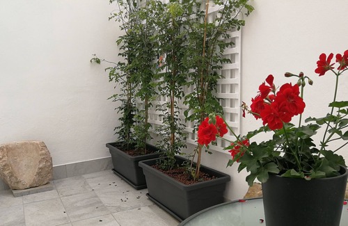 Santiago Apartment | Patio de la Escalera, Santiago