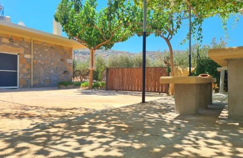 Limeniskos House | Pause Serenity House into Olive Groves