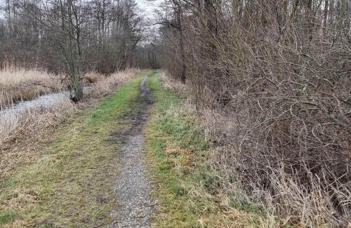 Øksenmølle House | Peaceful Cabin Retreat in Ebeltoft