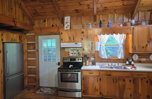 Lansing Cabin | Peaceful Riverfront Log Cabin w/Hot tub near West Jefferson