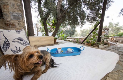 Bodrum Villa | Peaceful Villa with Pool and Garden in Bodrum