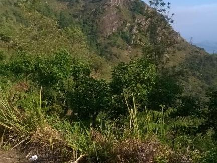 Welimada House | Peak Rest
