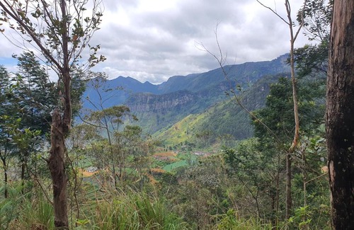 Welimada House | Peak Rest