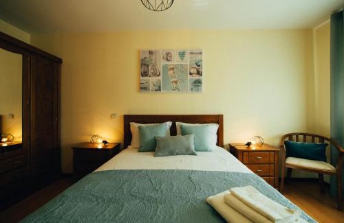 Vila Pouca de Aguiar Apartment | Pedras Salgadas Apartment