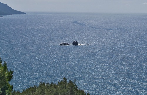 Parelia Apartment | Pelekas Beach, Studio Apartments With a Pool