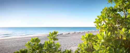 East Fort Lauderdale Resort | Pelican Grand Beach Resort, a Noble House Resort