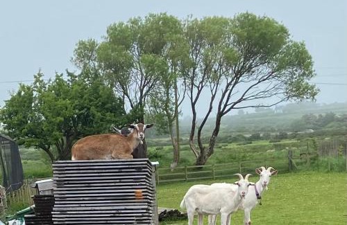Newborough House | Pen llyn holiday cottages and caravan