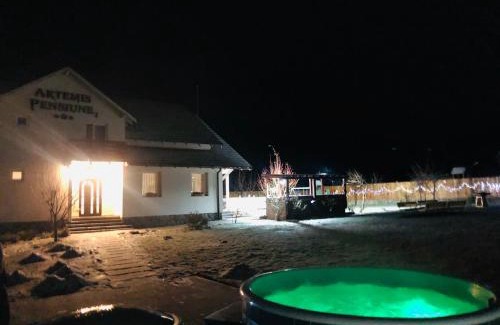 Cristian House | Pensiunea Artemis