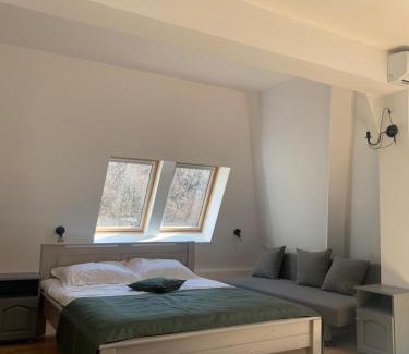 Baile Olanesti House | Pension Casa Vanatorilor