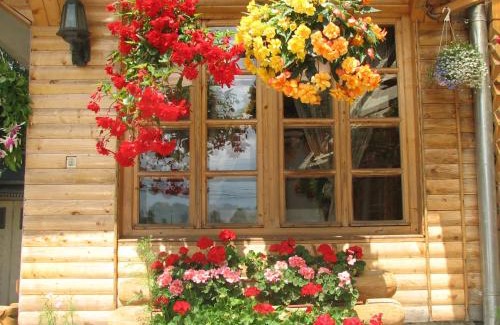 Vatra Moldovitei House | Pension Crizantema