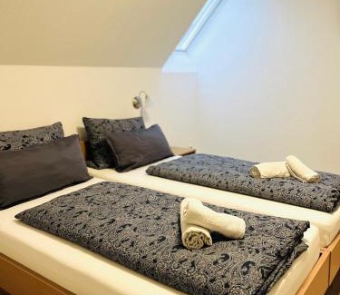 Rochlitz House | Pension Maria