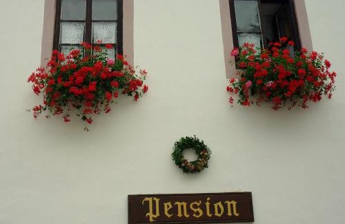 Cesky Krumlov House | Pension Plešivecká 119