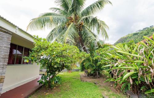 Paea House | Pension TE MITI - PLAGE-BEACH 200m - Mahana Parc & Vaiava Beach pk18 - B&B CHAMBRES ou DORTOIR
