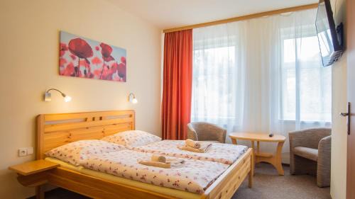 Tisa House | Pension U Koupaliště