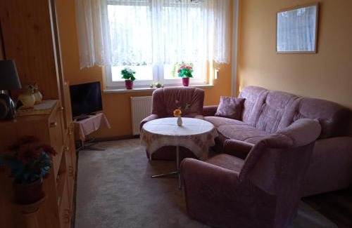 Oderaue Apartment | Pension zur alten Weide im Oderbruch
