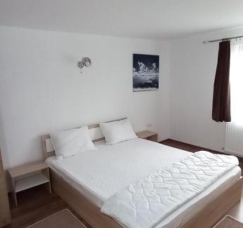 Copalnic-Manastur House | Pensiune Restaurant Alex