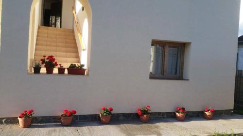Almasu Mare House | Pensiunea agroturistica "Cheile Cibului"