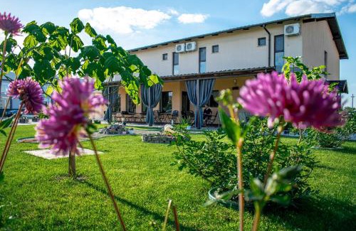 Vladimirescu House | Pensiunea Almada
