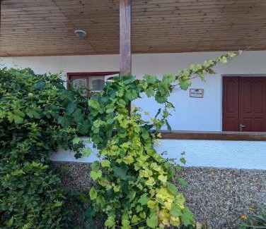Moldova Bed & Breakfast | Pensiunea Casa Veche