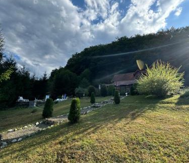 Vata de Jos Villa | Pensiunea Daniela