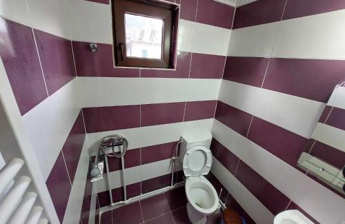 Albac House | Pensiunea Eugenia