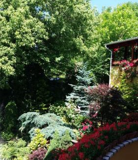 Tirgu Mures House | Pensiunea Europa