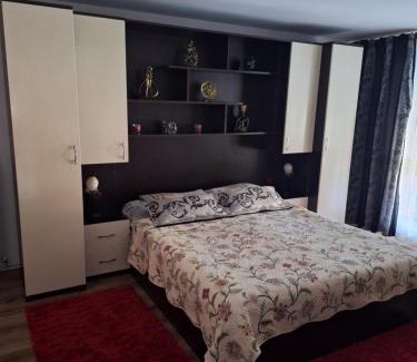 Vata de Jos House | Pensiunea Flori