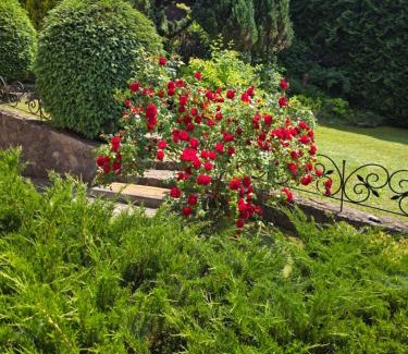 Sovata House | Pensiunea Fortuna