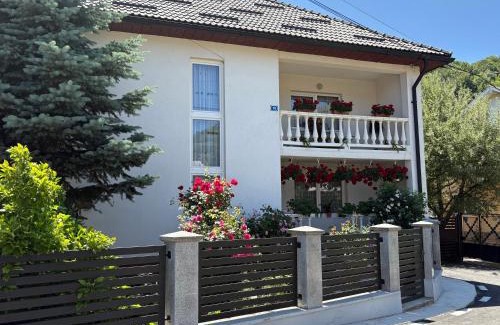 Sant House | Pensiunea Grapini