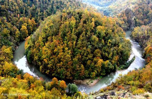 Tirgu Lapus House | Pensiunea Marissandra