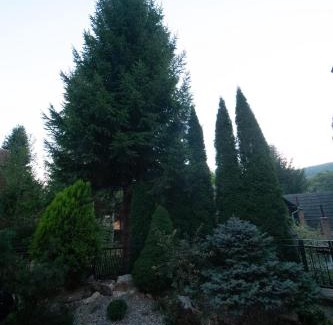 Baile Balvanyos House | Pensiunea Rezkakas