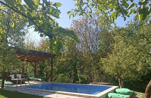 Baia-Sprie House | Pensiunea Verde