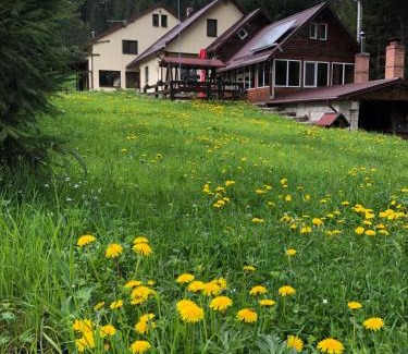 Schitu-Tarcau House | Pensiunea Zorile Tarcaului