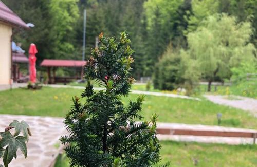 Schitu-Tarcau House | Pensiunea Zorile Tarcaului