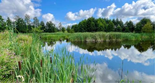 Kosewo Bed & Breakfast | Pensjonat Hubertus