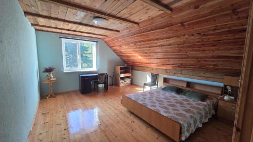 Kolka House | Pentes