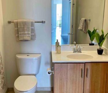 Near South Side Apartment | Penthouse In South Loop Chicago