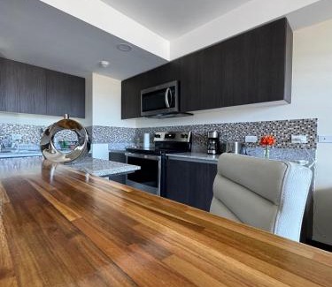 San Pedro Apartment | Penthouse San José Costa Rica