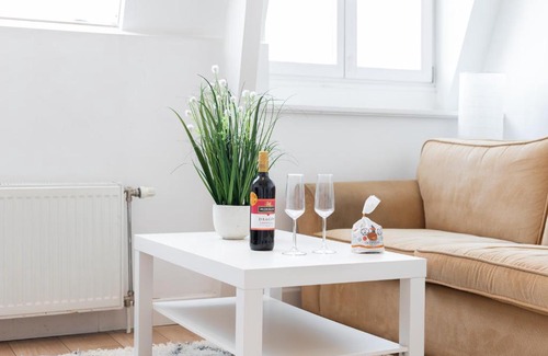 Oude Pijp Apartment | Penthouse spacious apartment with canal view