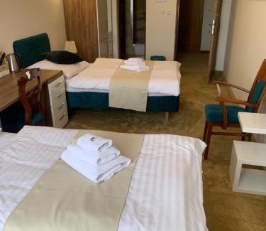 Trencin House | Penzión Deloris