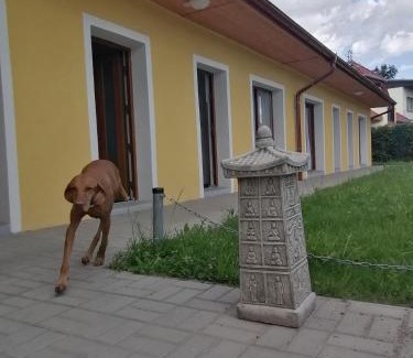 Frantiskovy Lazne House | Penzion Loren