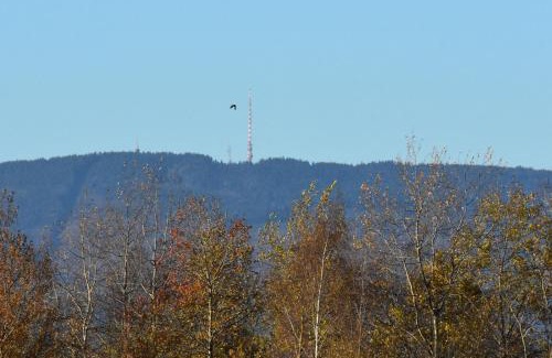 Dobra Voda u Ceskych Budejovic House | Penzion Na Kopečku