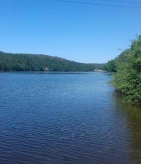 Kamyk nad Vltavou Hotel | Penzion Paták
