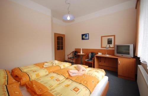 Humpolec Hotel | Penzion Růže