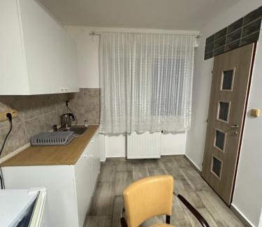 Frenstat pod Radhostem House | Penzion u dobrého lva