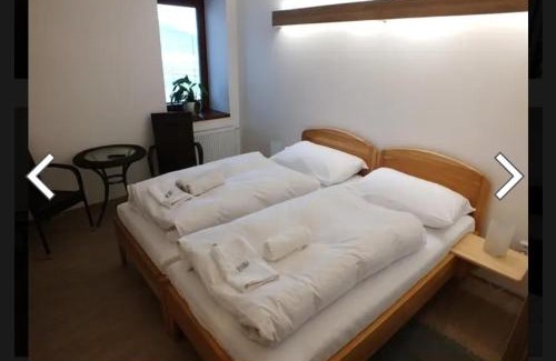 Usti nad Labem-Strekov House | Penzion U Koruny