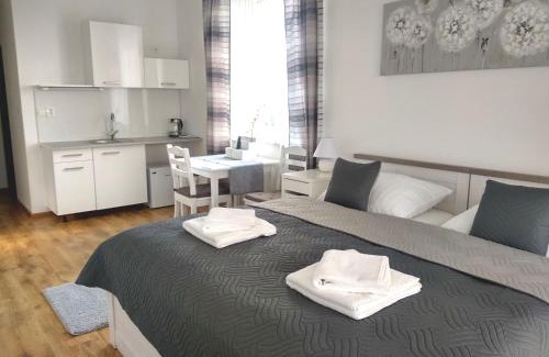 Dolni Tosanovice House | Penzion Wellness Chechluvka