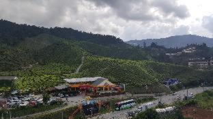 Kuala Terla Apartment | Peony Square Residences