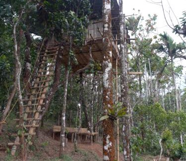 Mananthavady Villa | Pepper Mist Wayanad Homestay